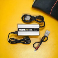 Ardent 12V 20A Lithium ​LiFePO4 Battery Charger 