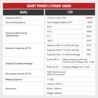 100AH Lithium Deep Cycle Battery