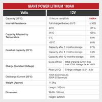 100AHGiant Lithium Battery 