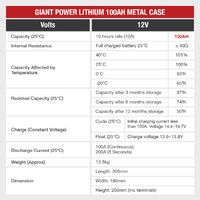 100AH Giant Lithium Battery 