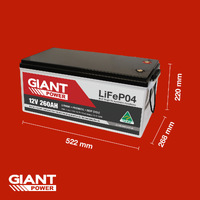 Giant Lithium Battery 