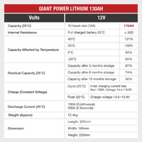 130AH Lithium Battery 