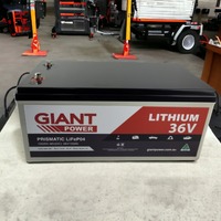GIANT 36V 100AH Lithium Golf Cart Deep Cycle Battery