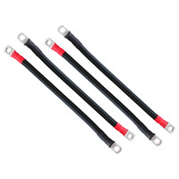 2 BnS Parallel Cables 350mm length (2 pairs)