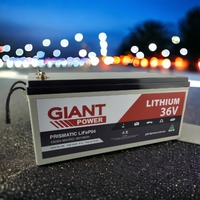 GIANT 36V 100AH Lithium Golf Cart Deep Cycle Battery with (200AMP BMS)