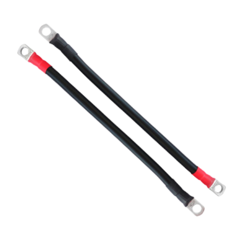 2 BnS Series Cable 250mm length (single)