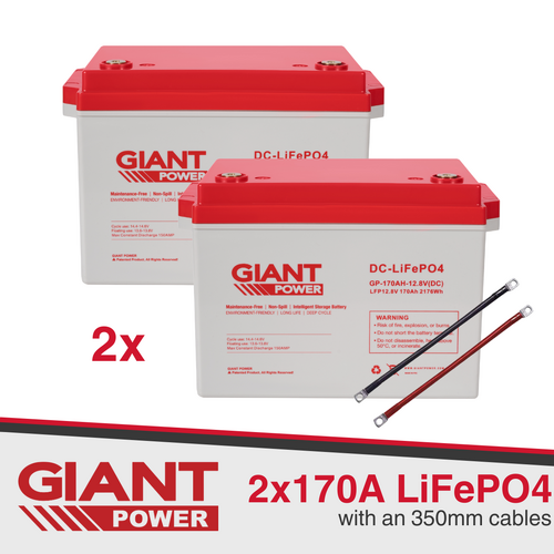 170AH Lithium Battery LiFePO4 Deep Cycle Battery Giant 12V